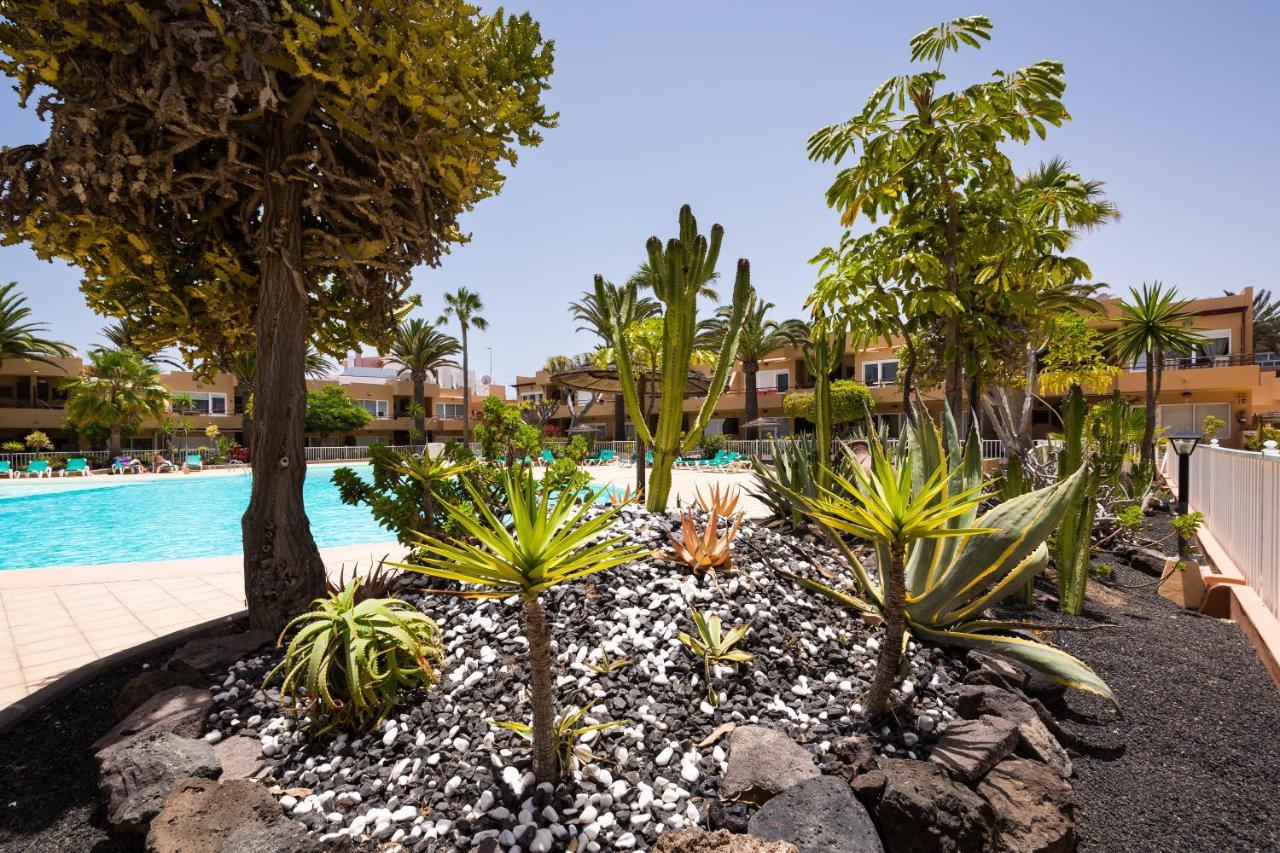 Home2Book Charming Sun & Dunes Apartment Κοραλέχο Εξωτερικό φωτογραφία
