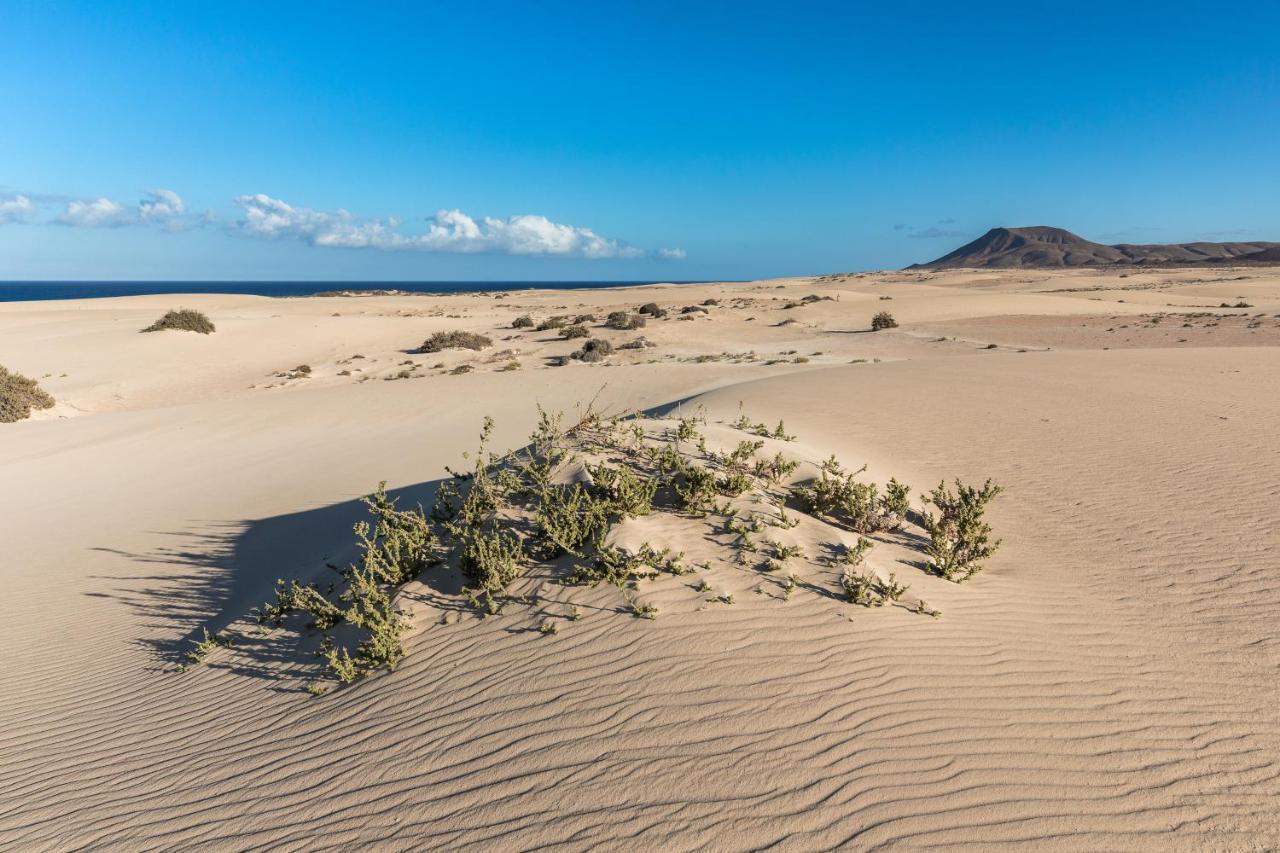 Home2Book Charming Sun & Dunes Apartment Κοραλέχο Εξωτερικό φωτογραφία